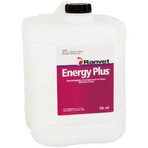 Energy Supplement for horses