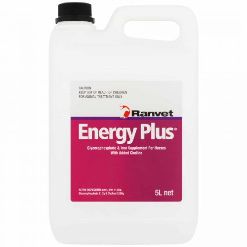 Energy Supplement for horses
