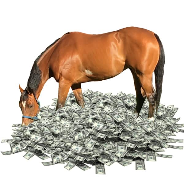 Horse Costs