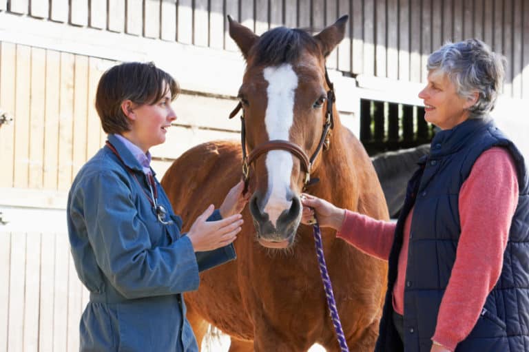 Equine Veterinarian Ranvet