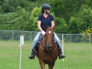 Horse riding helmet