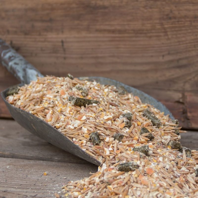 Types of Grain for horses COVER Ranvet