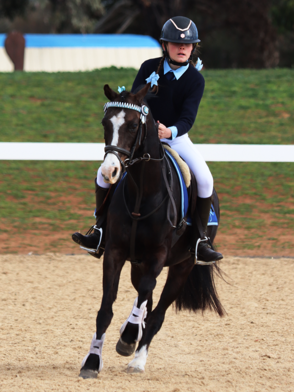 Pony club rider on course