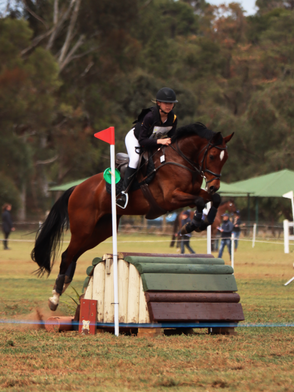 Pony club rider on course