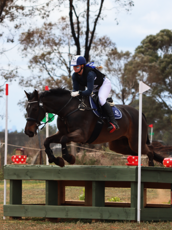 Pony club rider on course